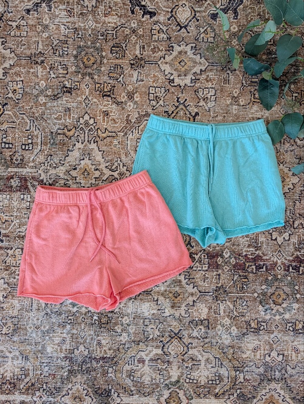 No Boundaries sweatshorts set XS